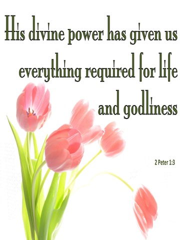 2 Peter 1:3 His Divine Power Has Given Us Everything (green)